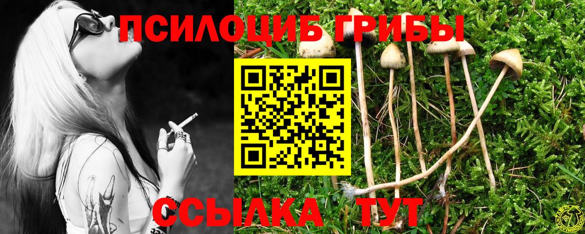Галлюциногенные грибы Psilocybe Мыски